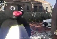 Pingu