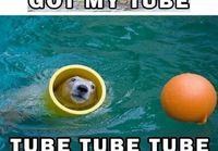 Jääkarhun tube