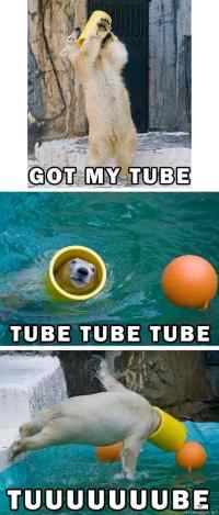 Jääkarhun tube