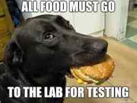 Lab test