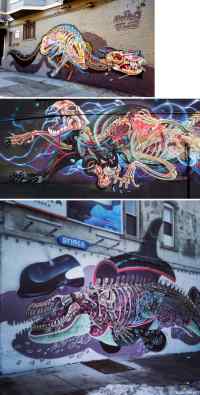 Anatomia graffitia