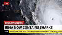 Sharknado