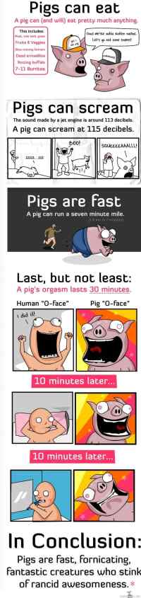 A few reasons why pigs are better than humans