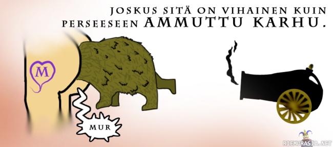 Joskus sitä on vihainen kuin... - ...perseeseen ammuttu karhu.