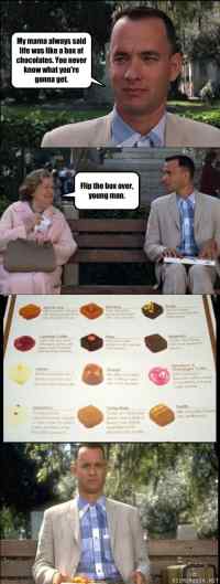 Life is like a box of chocolates