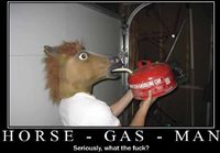 Horse - Gas - Man