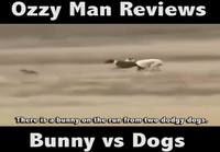 Ozzy Man Reviews