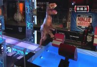 Ninja T-Rex