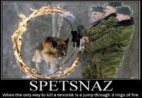 spetnaz