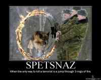 spetnaz