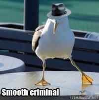 Smooth Criminal