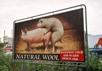 Natural wool