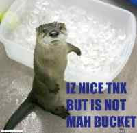 Bucket