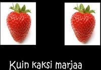 Kuin kaksi marjaa