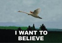 I want to believe