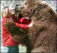 Nalle - Monesta elokuvasta tuttu Bart the bear kouluttajansa Doug Seusin kanssa.