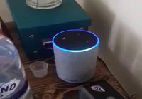 Alexa ei tykkää skotlantilaisista