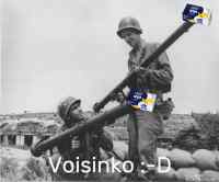 Voisinko