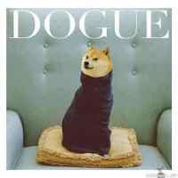 Dogue - wow so vogue