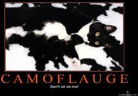 Camoflauge