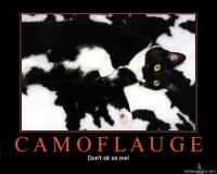 Camoflauge