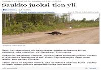 Saukko juoksi tien yli