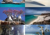 Socotra Island, Yemen