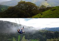 Swing at the End of the World