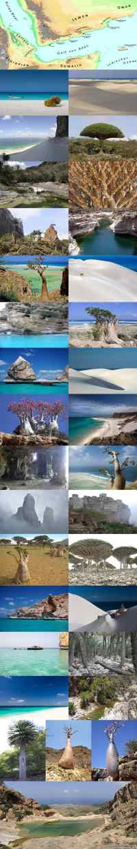 Socotra Island, Yemen