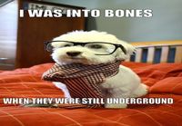 I was into bones