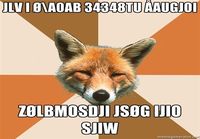 Jlv i ø\\a0ab 34348tu åaugjoi zølbmosdji jsøg ijio sjiw