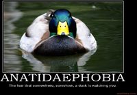 Anatidaephobia