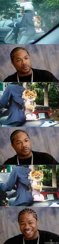 Xzibit