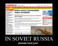 Soviet Russia - kettu metsästää