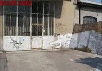 Graffiti