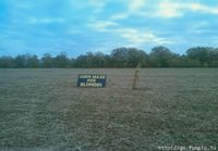 corn maze