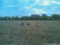 corn maze