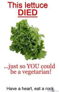 vegetaristit