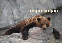 Oispa kaljaa