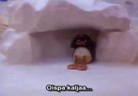 Pingu