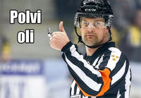 Polvi oli