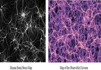 Human Brain Neuro Map - Map of the Observable Universe