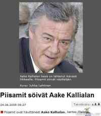 Uutinen - Piisamit söivät Aake Kallialan