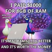 Apple ram - is better