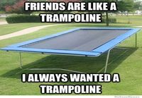 friends are like a trampoline