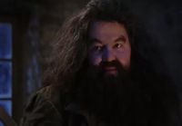 You'er a wazard hagrid