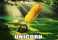 Unicorn