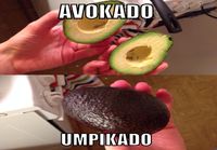 Avokado