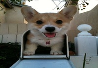 You got mail :)