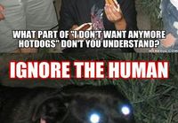 Ignore the human